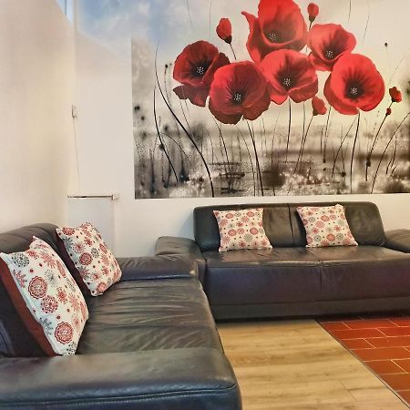 Cozy Penthouse In A New Business Building In City Center. Free Private Parking Lejlighed Cluj-Napoca Eksteriør billede
